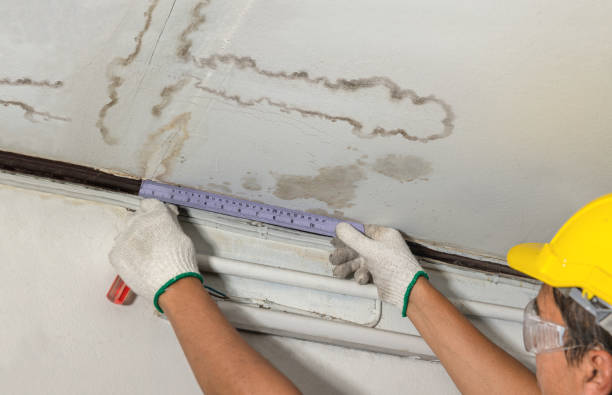 Reliable Sewage Cleanup contractor in Rolesville, NC by Water Damage Irwin